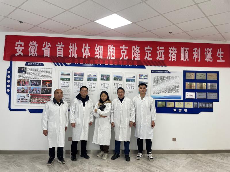 实现资源保护，推动种业振兴——淮北首批体细胞克隆地方猪诞生